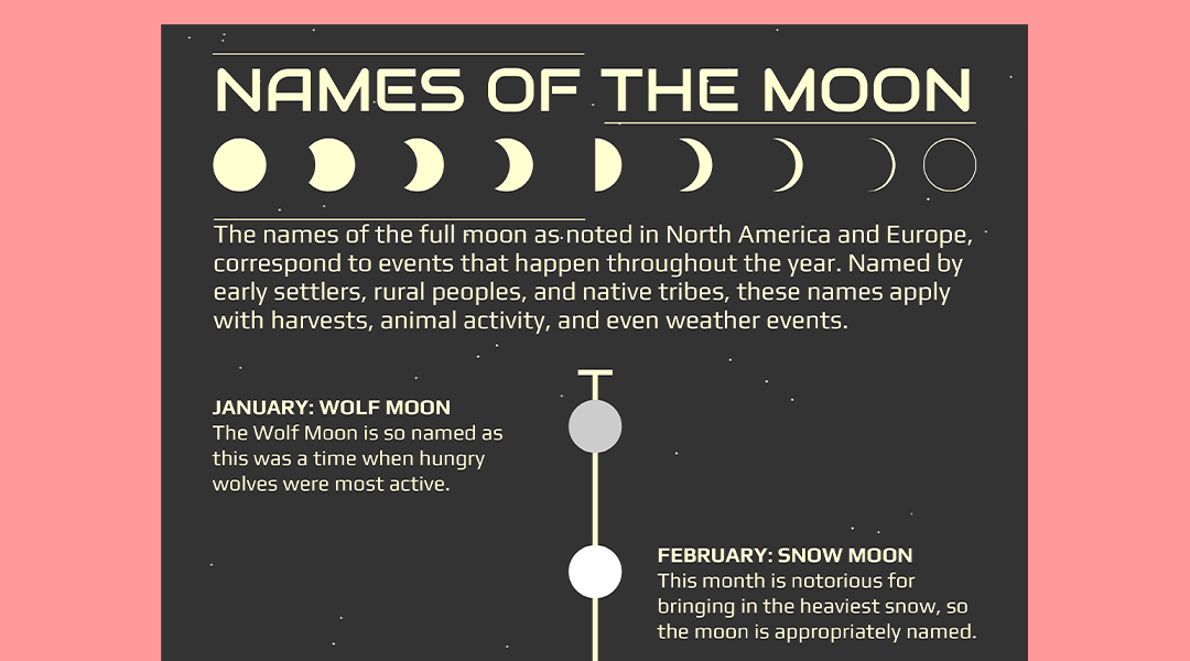 moon infographic design