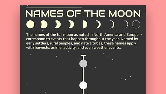 moon infographic mockup